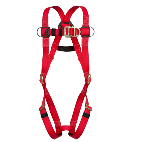 ARNES SEGMA 4 ARGOLLAS TORINO MULTITALLA